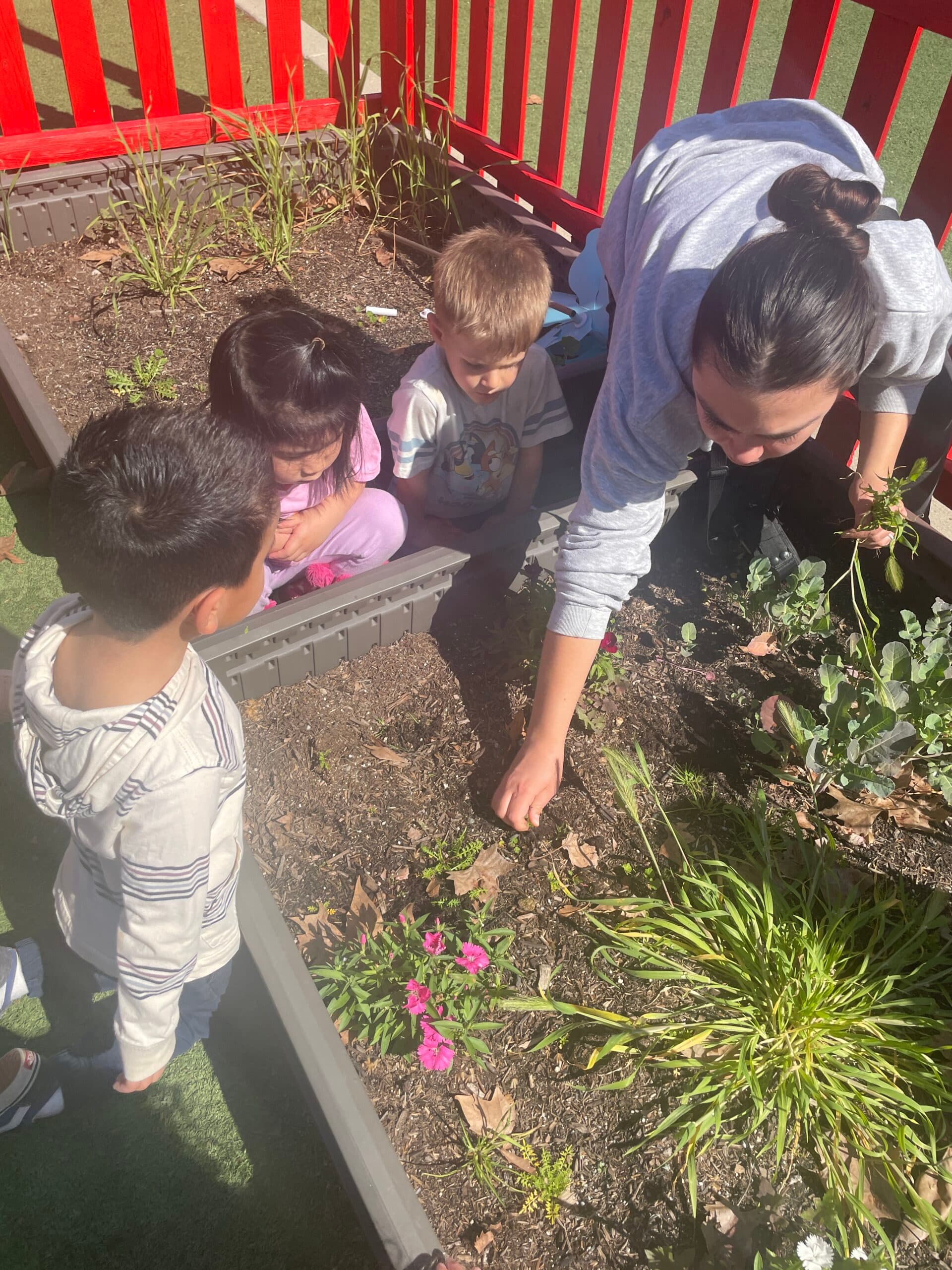 Children exploring the garden planters on the playground