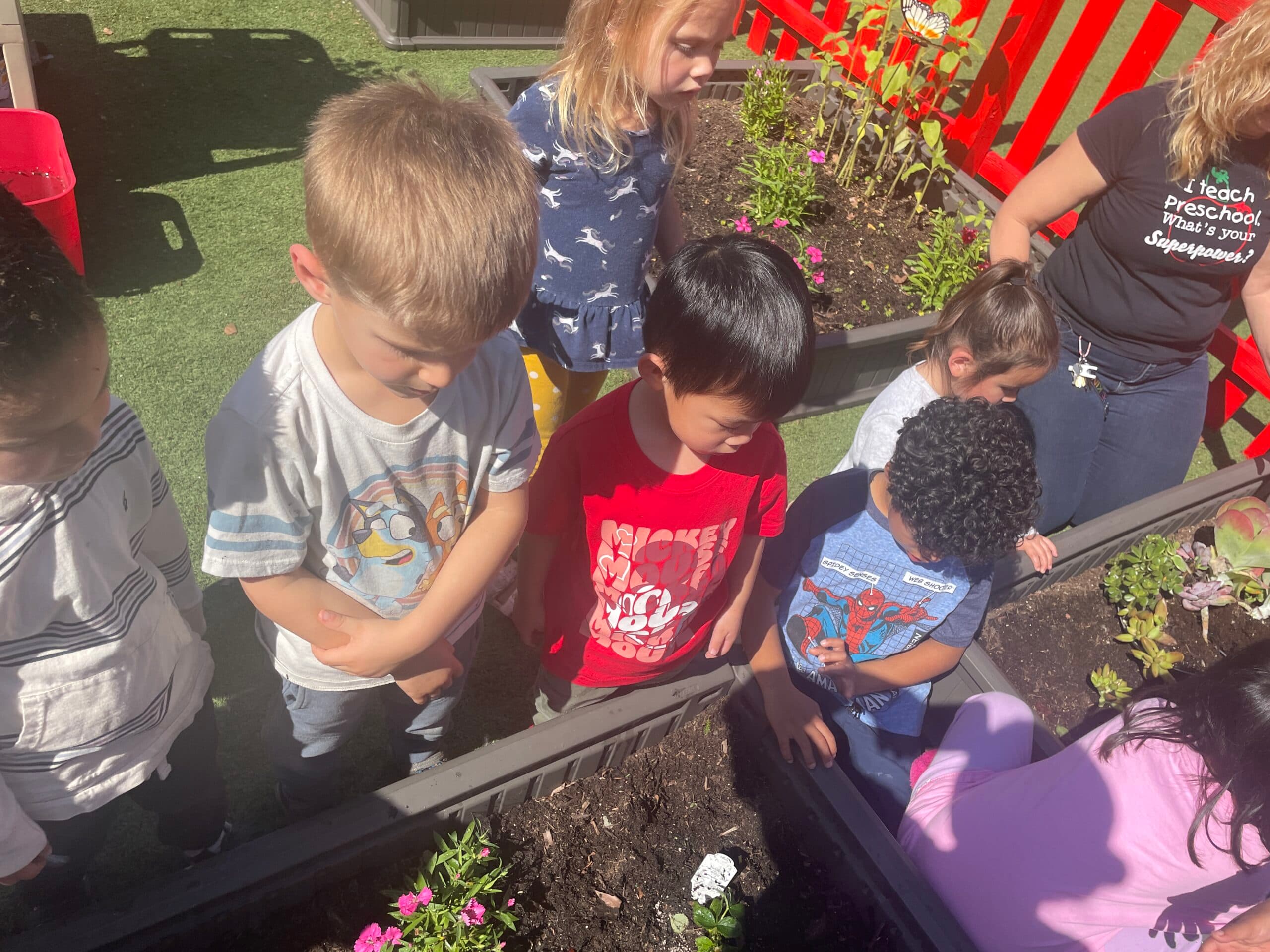 Outdoor Garden & Play