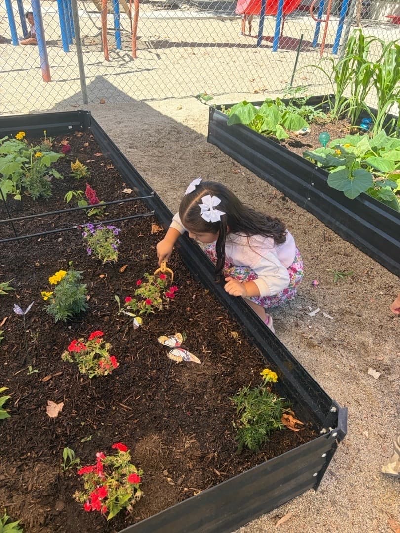 Outdoor Garden & Play